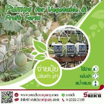 Dosing pump ปั๊มจ่ายปุ๋ยในระบบน้ำแก่พืชผล ผัก อย่างมีประสิทธิภาพ 